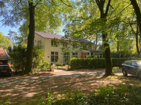 B&B In de aap gelogeerd